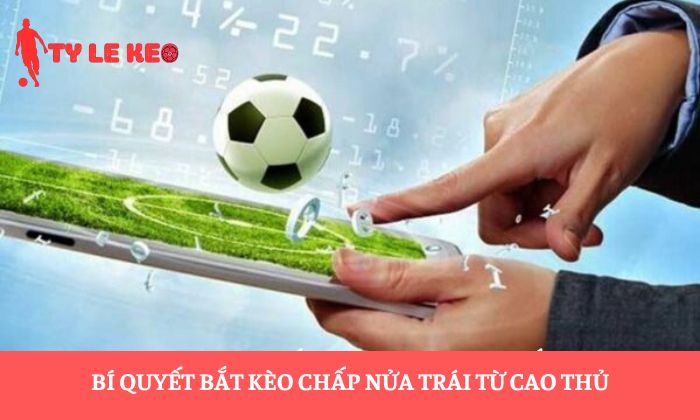 kèo chấp nửa trái kèo chấp nửa trái